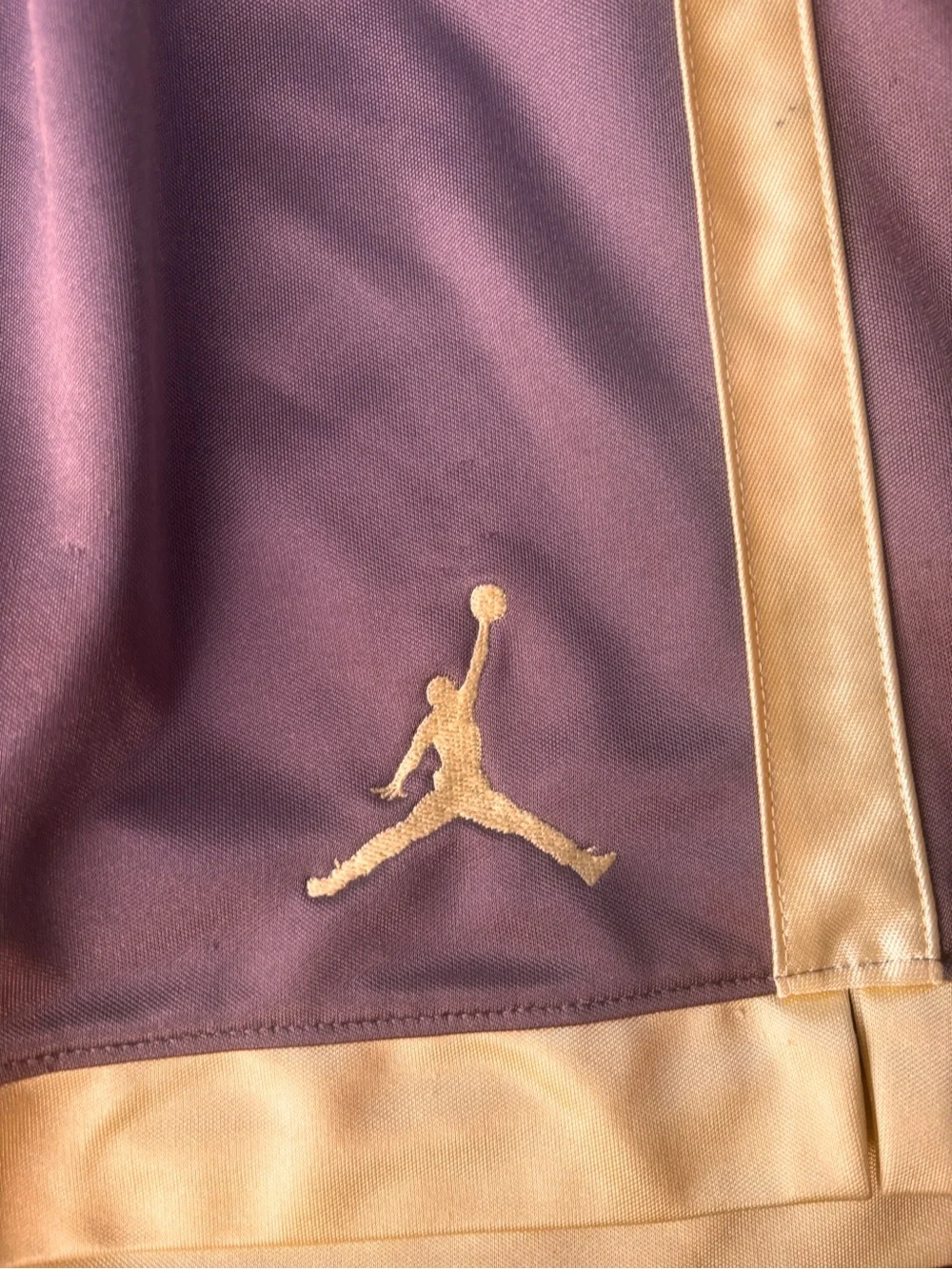 Jordan Men’s Purple Athletic Shorts with Gold Accents